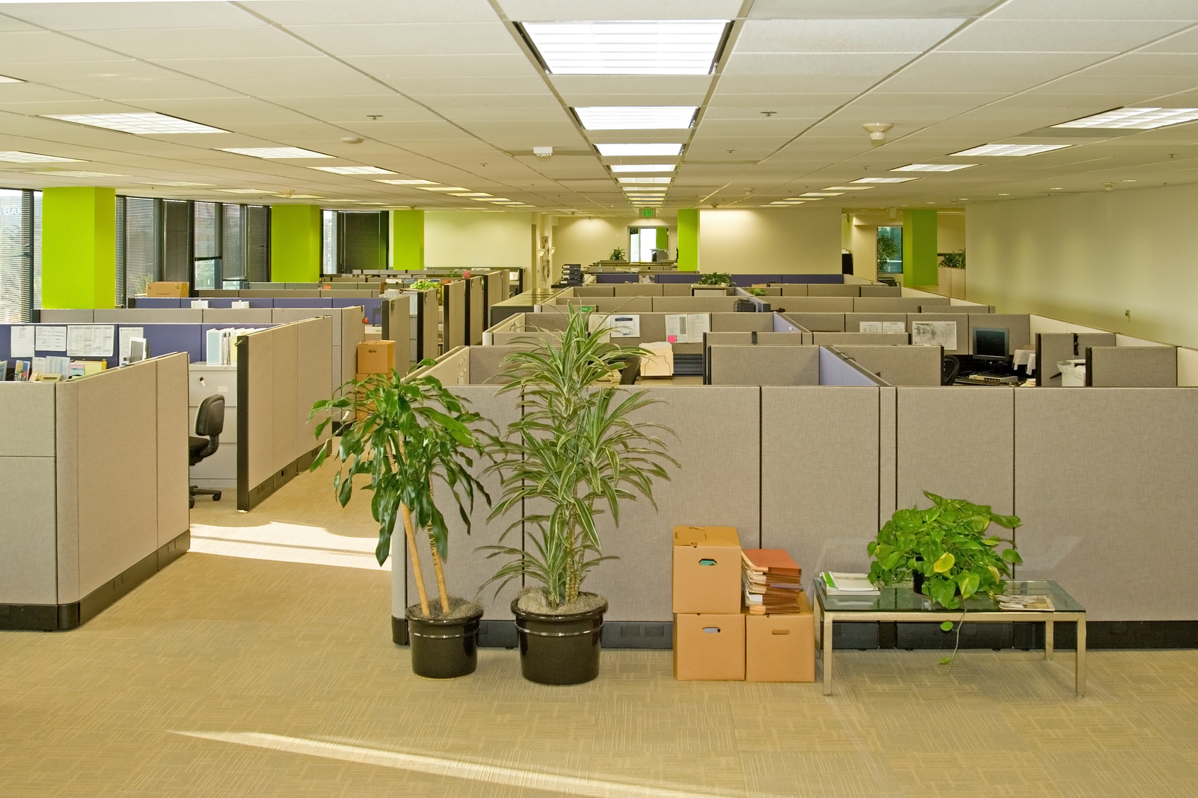 Commercial office interior